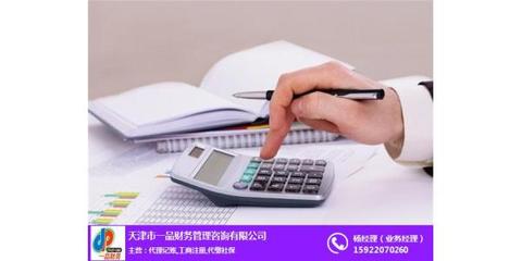 西青財(cái)務(wù)外包與財(cái)務(wù)咨詢(xún) 天津銀星賬務(wù)如何助力企業(yè)高效財(cái)務(wù)管理